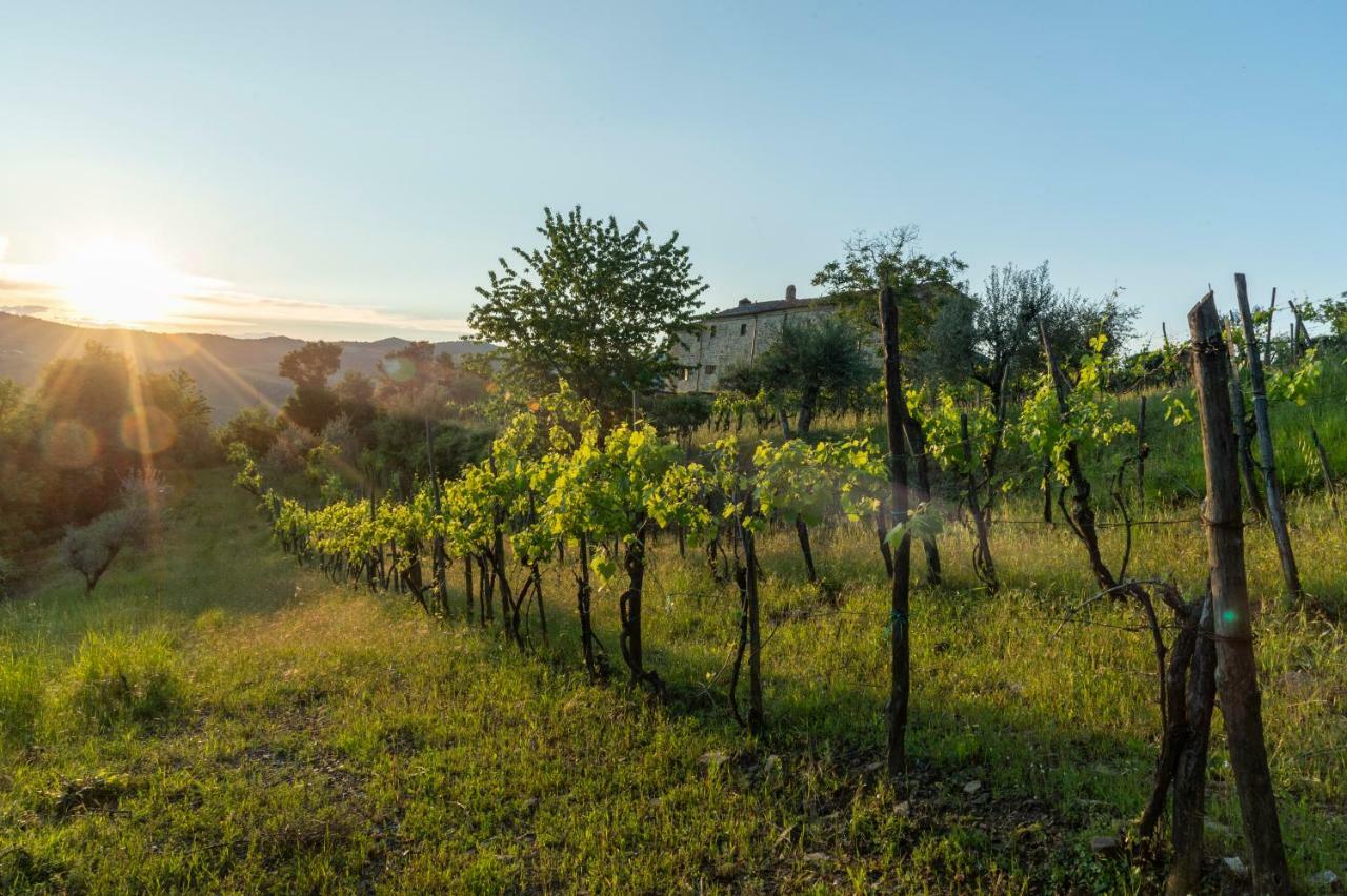 La Rimbecca Greve In Chianti Hotel Exterior photo